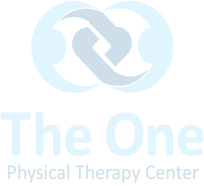 The One Physical Therapy Center